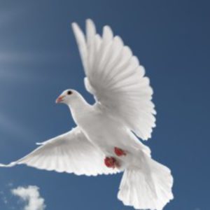 Profile photo of Regina Leigh